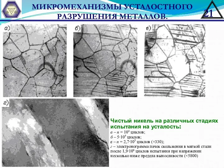 Чистый никель на различных стадиях испытания на усталость: а –