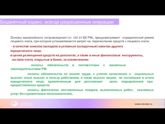 Бюджетный кодекс: всегда разрешенные операции Основы казначейского сопровождения (ст. 242.23