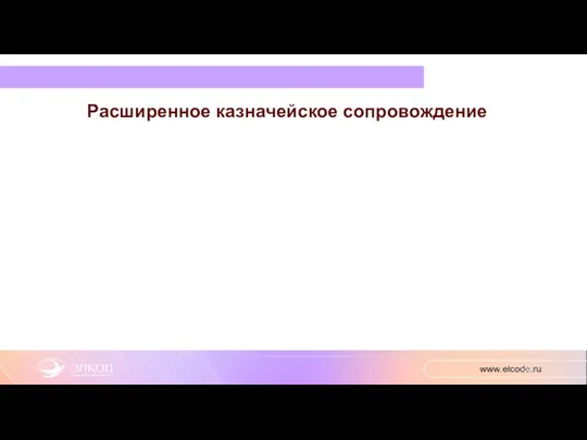 Расширенное казначейское сопровождение