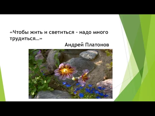 «Чтобы жить и светиться – надо много трудиться…» Андрей Платонов