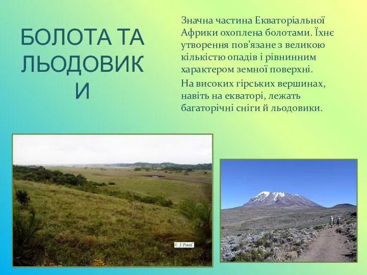 БОЛОТА ТА ЛЬОДОВИКИ Значна частина Екваторіальної Африки охоплена болотами. Їхнє утворення пов’язане з