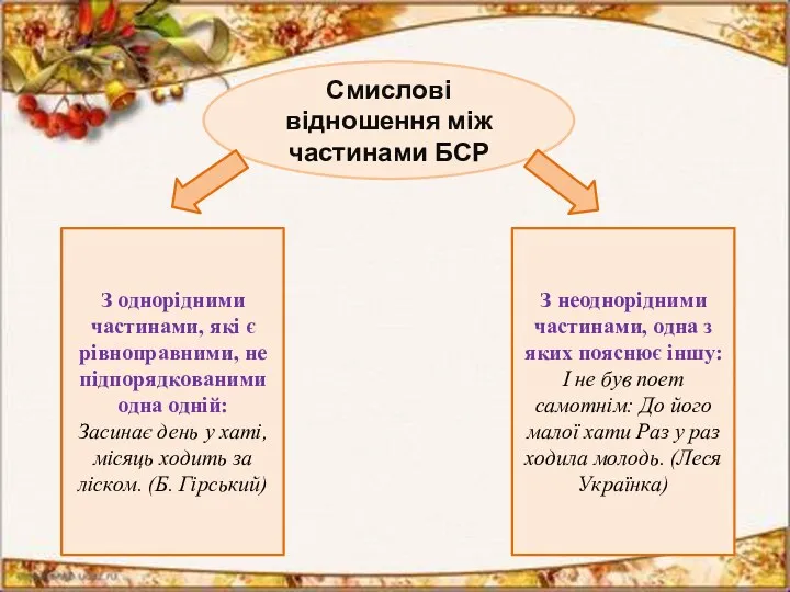 Смислові відношення між частинами БСР З однорідними частинами, які є