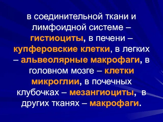 в соединительной ткани и лимфоидной системе – гистиоциты, в печени