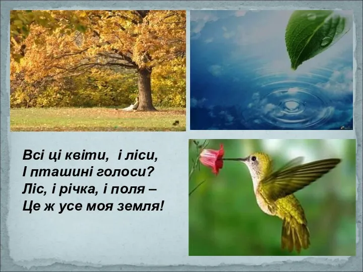 Всі ці квіти, і ліси, І пташині голоси? Ліс, і