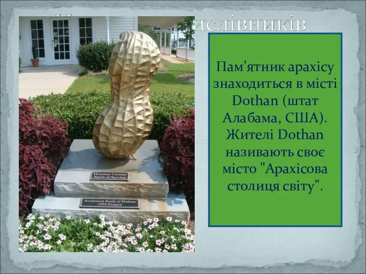 Пам’ятник арахісу знаходиться в місті Dothan (штат Алабама, США). Жителі