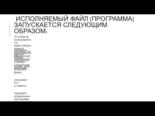 ИСПОЛНЯЕМЫЙ ФАЙЛ (ПРОГРАММА) ЗАПУСКАЕТСЯ СЛЕДУЮЩИМ ОБРАЗОМ: по запросу пользователя в