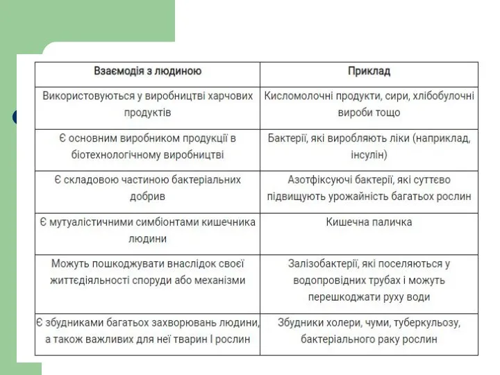 Значення бактерій та архей для людини