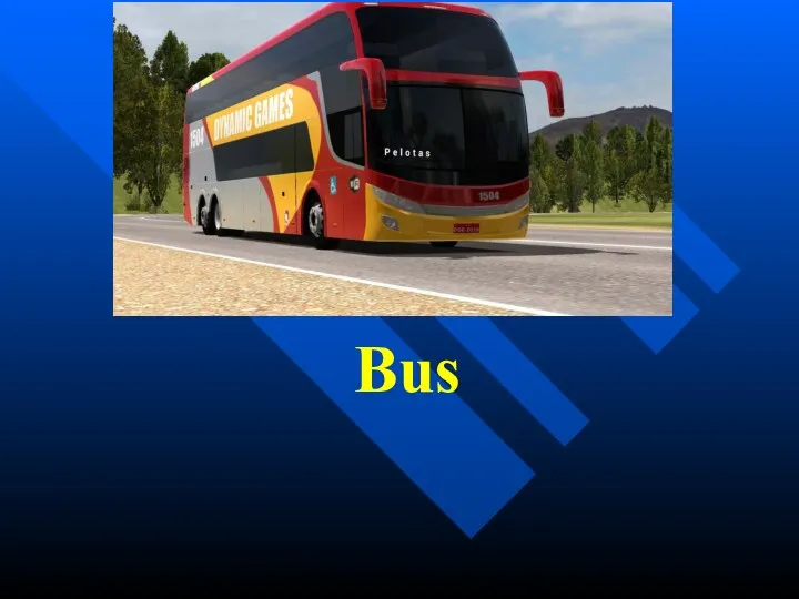 Bus