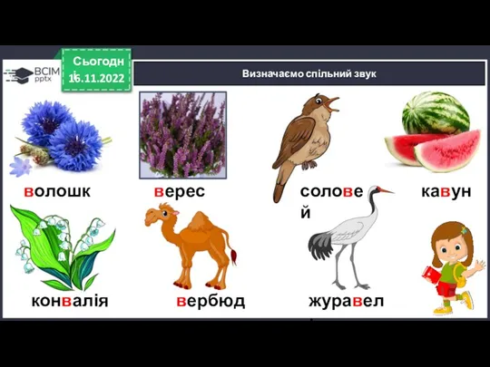 16.11.2022 Сьогодні Визначаємо спільний звук волошка верес соловей кавун конвалія вербюд журавель