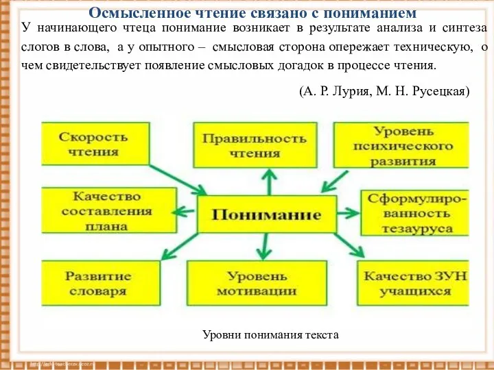 Осмысленное чтение связано с пониманием У начинающего чтеца понимание возникает