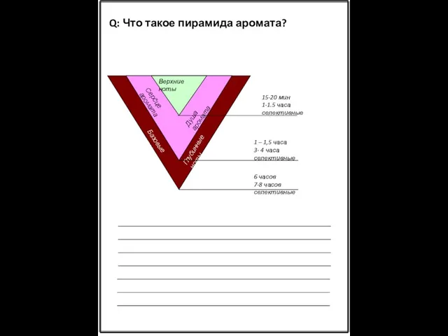 Верхние ноты Сердце аромата Душа аромата Базовые ноты Глубинные ноты 15-20 мин 1-1.5