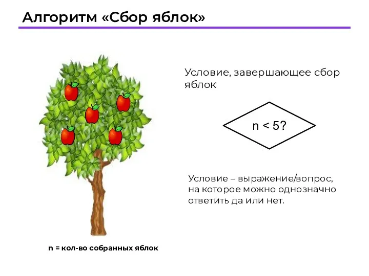 Алгоритм «Сбор яблок» Условие, завершающее сбор яблок n Условие –