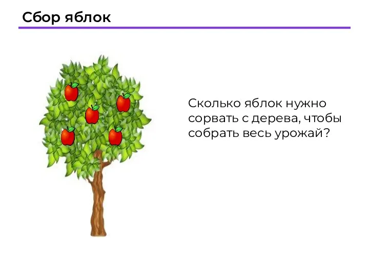 Сбор яблок Сколько яблок нужно сорвать с дерева, чтобы собрать весь урожай?