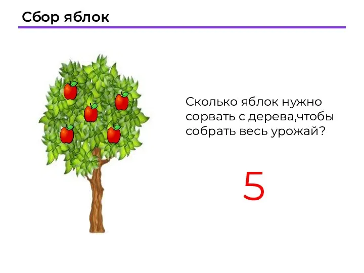 Сбор яблок Сколько яблок нужно сорвать с дерева,чтобы собрать весь урожай? 5