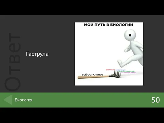 Гаструла 50 Биология