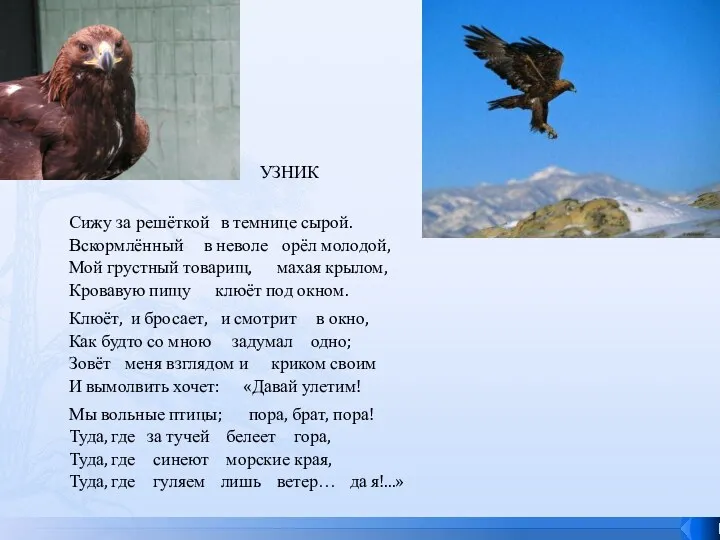 Сижу за решёткой в темнице сырой. Вскормлённый в неволе орёл