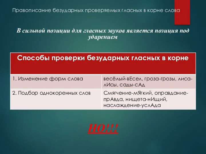 Правописание безударных проверяемых гласных в корне слова В сильной позиции