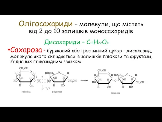 Олігосахариди – молекули, що містять від 2 до 10 залишків
