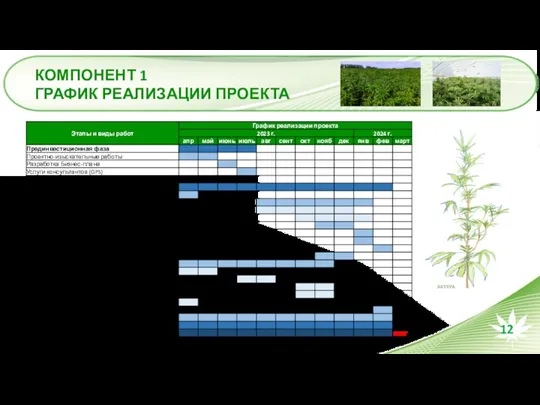 КОМПОНЕНТ 1 ГРАФИК РЕАЛИЗАЦИИ ПРОЕКТА