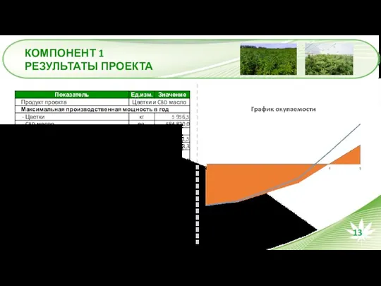 КОМПОНЕНТ 1 РЕЗУЛЬТАТЫ ПРОЕКТА