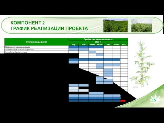 КОМПОНЕНТ 2 ГРАФИК РЕАЛИЗАЦИИ ПРОЕКТА