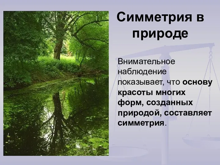 Симметрия в природе Внимательное наблюдение показывает, что основу красоты многих форм, созданных природой, составляет симметрия.