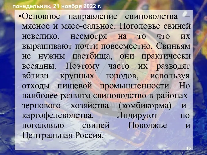 Основное направление свиноводства – мясное и мясо-сальное. Поголовье свиней невелико,