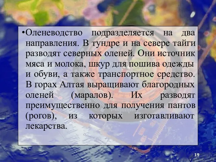 Оленеводство подразделяется на два направления. В тундре и на севере