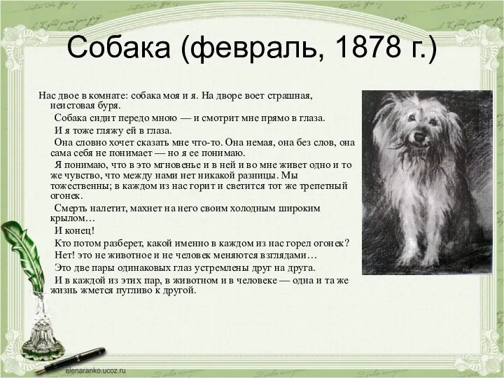 Собака (февраль, 1878 г.) Нас двое в комнате: собака моя