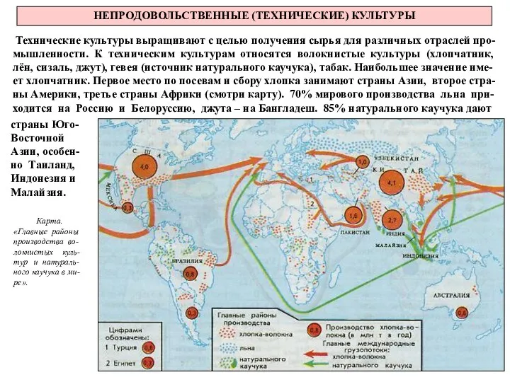 НЕПРОДОВОЛЬСТВЕННЫЕ (ТЕХНИЧЕСКИЕ) КУЛЬТУРЫ Технические культуры выращивают с целью получения сырья