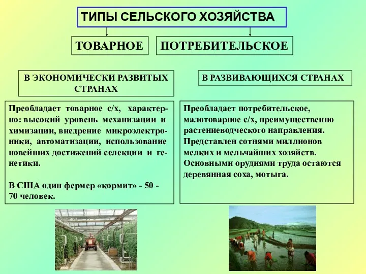 ТИПЫ СЕЛЬСКОГО ХОЗЯЙСТВА ТОВАРНОЕ ПОТРЕБИТЕЛЬСКОЕ В ЭКОНОМИЧЕСКИ РАЗВИТЫХ СТРАНАХ В