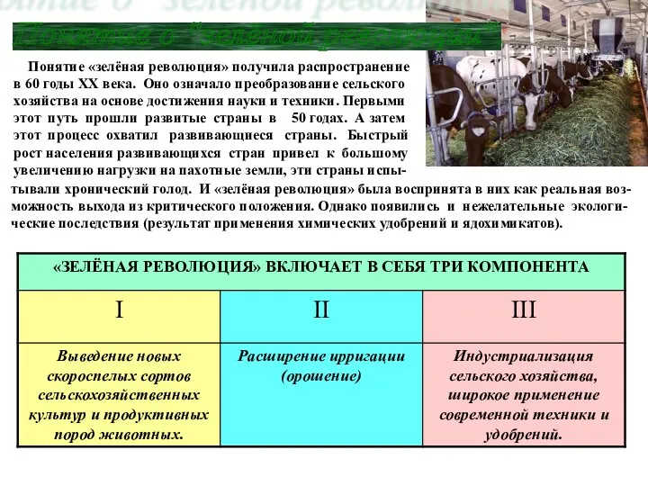 Понятие о "зелёной революции". Понятие «зелёная революция» получила распространение в