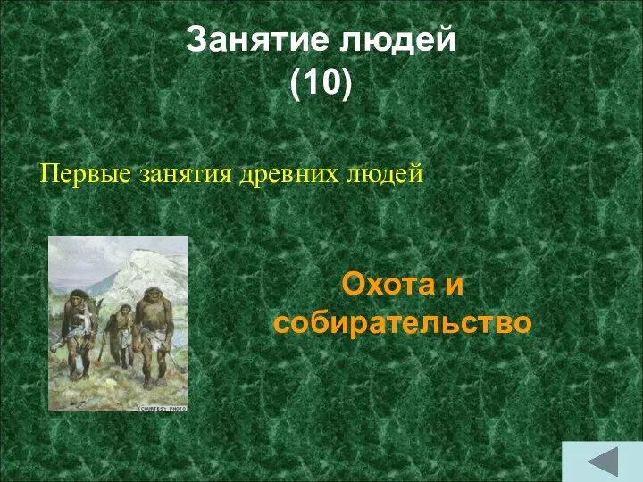 Занятие людей (10) Первые занятия древних людей Охота и собирательство