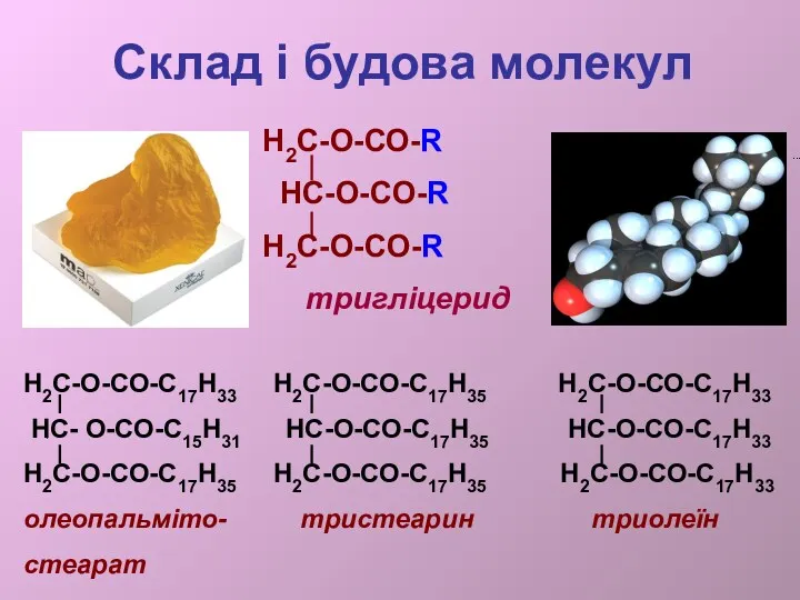 Склад і будова молекул Н2С-О-СО-С17Н33 Н2С-О-СО-С17Н35 Н2С-О-СО-С17Н33 НС- О-СО-С15Н31 НС-О-СО-С17Н35