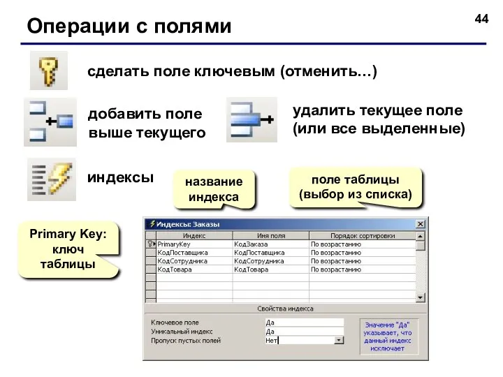 Операции с полями сделать поле ключевым (отменить…) добавить поле выше