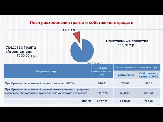 План расходования гранта и собственных средств