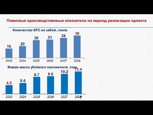 Плановые производственные показатели на период реализации проекта Количество КРС на