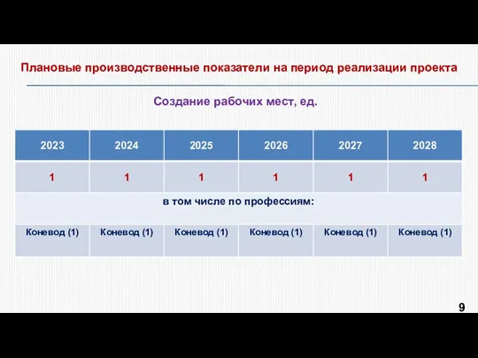 Плановые производственные показатели на период реализации проекта Создание рабочих мест, ед. в том числе: