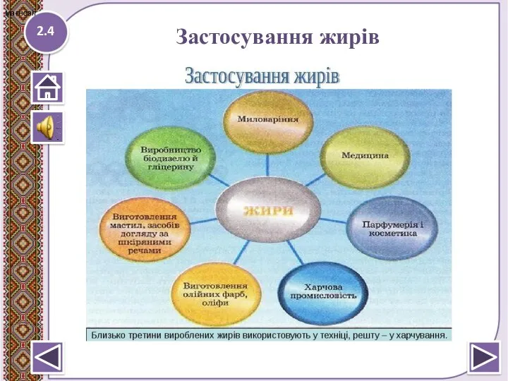 Застосування жирів 2.4 магнезіт