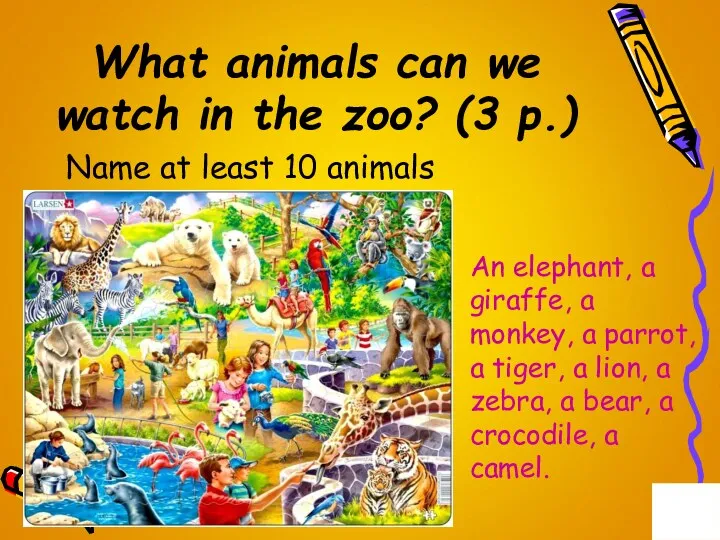 What animals can we watch in the zoo? (3 p.)