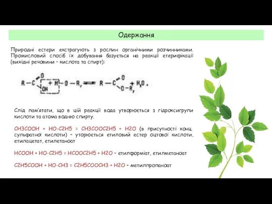 Одержання Природні естери екстрагують з рослин органічними розчинниками. Промисловий спосіб