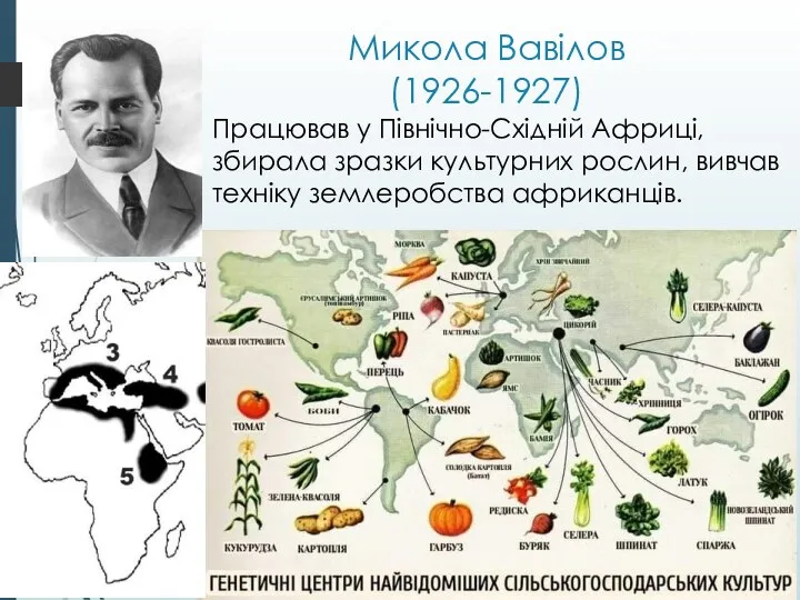 Микола Вавілов (1926-1927) Працював у Північно-Східній Африці, збирала зразки культурних рослин, вивчав техніку землеробства африканців.