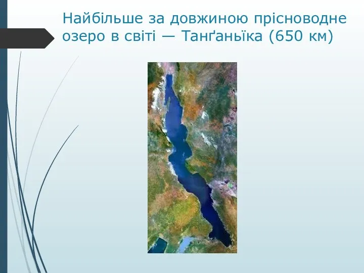 Найбільше за довжиною прісноводне озеро в світі — Танґаньїка (650 км)