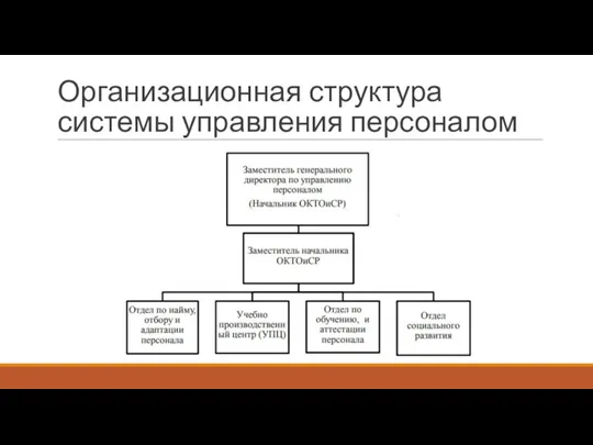 Организационная структура системы управления персоналом