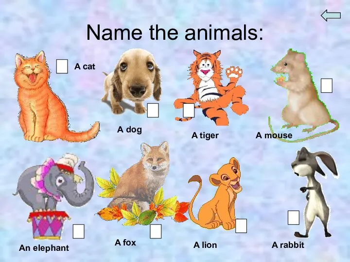 Name the animals: A cat A dog A tiger A