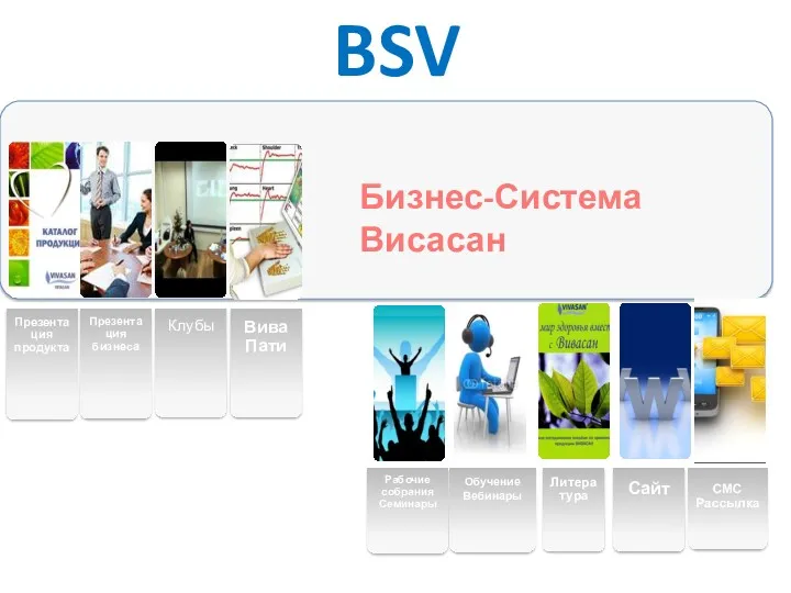 BSV Бизнес-Система Висасан