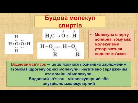 Будова молекул спиртів Молекула спирту полярна, тому між молекулами утворюються