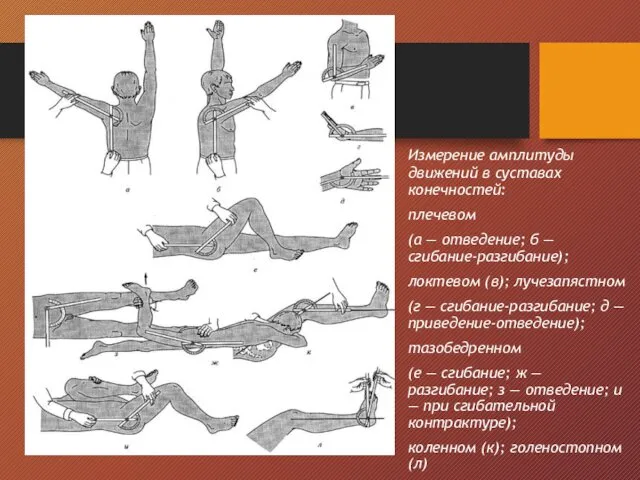 Измерение амплитуды движений в суставах конечностей: плечевом (а — отведение;