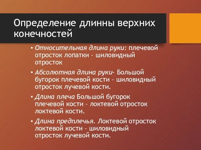 Определение длинны верхних конечностей Относительная длина руки: плечевой отросток лопатки