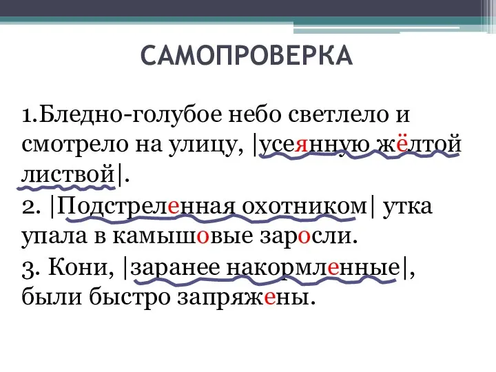 САМОПРОВЕРКА 1.Бледно-голубое небо светлело и смотрело на улицу, |усеянную жёлтой